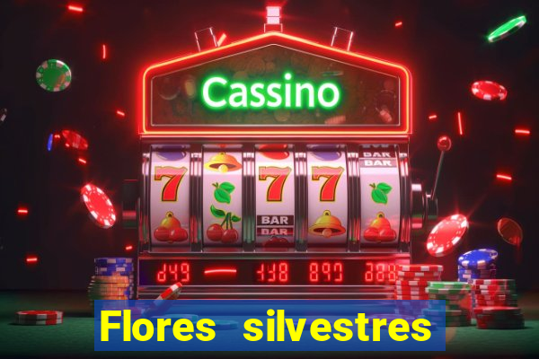 Flores silvestres brasileiras brasileiras flores silvestres nomes e imagens